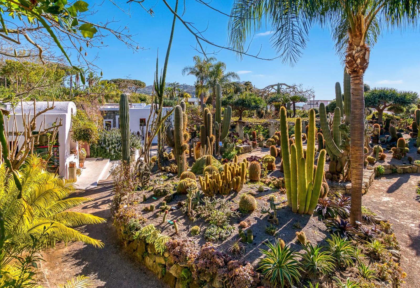 Apart-hotel Ravino Secret Retreat Forio di Ischia